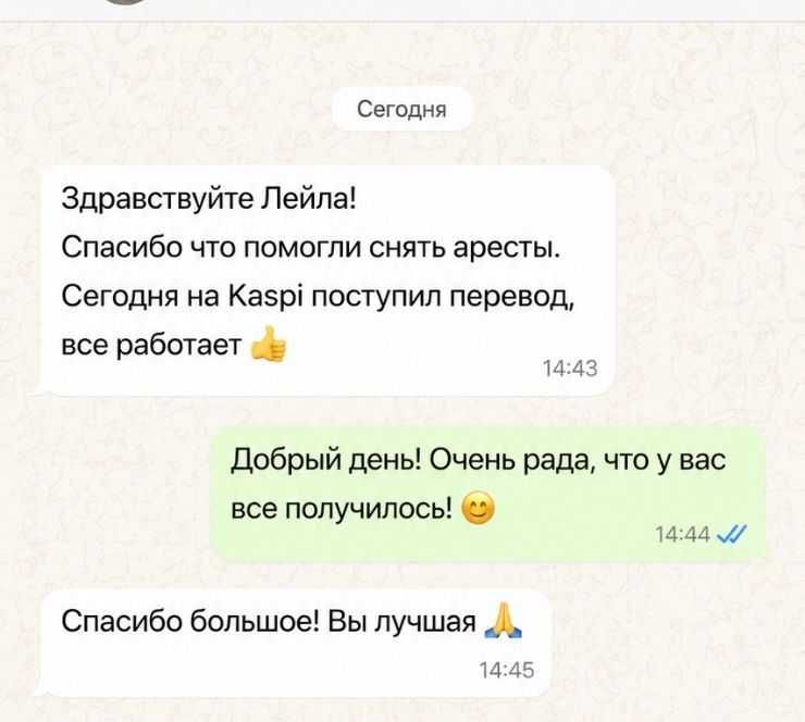 СНЯТИЕ АРЕСТОВ. Гарантия результата.