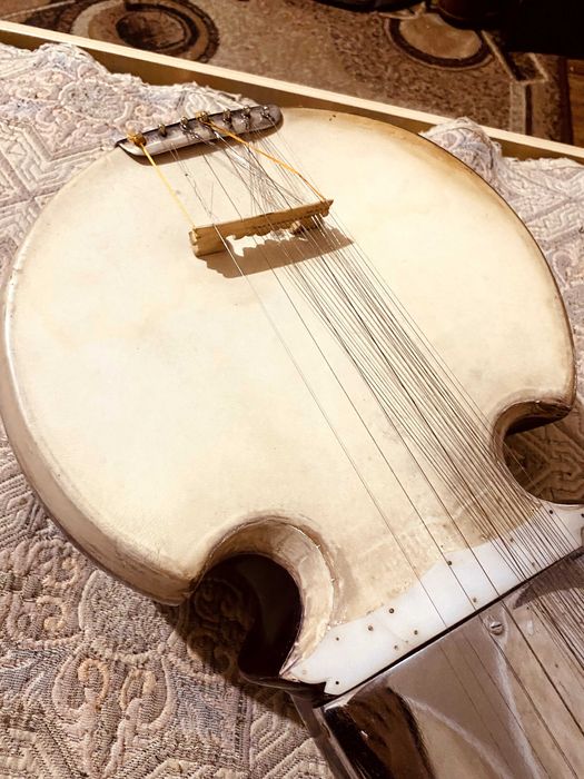 Сарод музыкальный инструмент