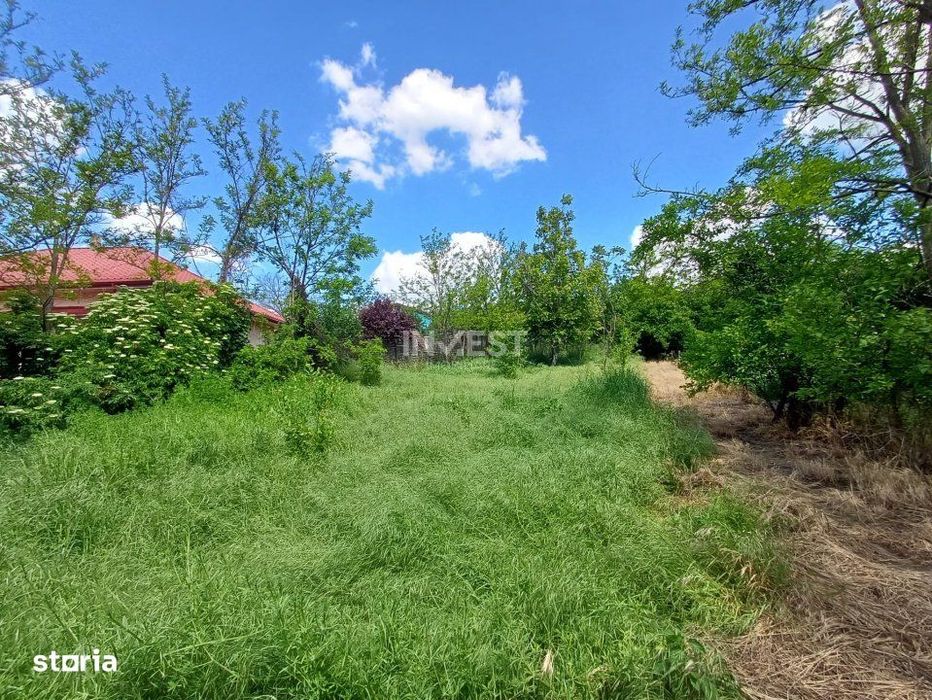 Teren Intravilan, 602 Mp, Rediu