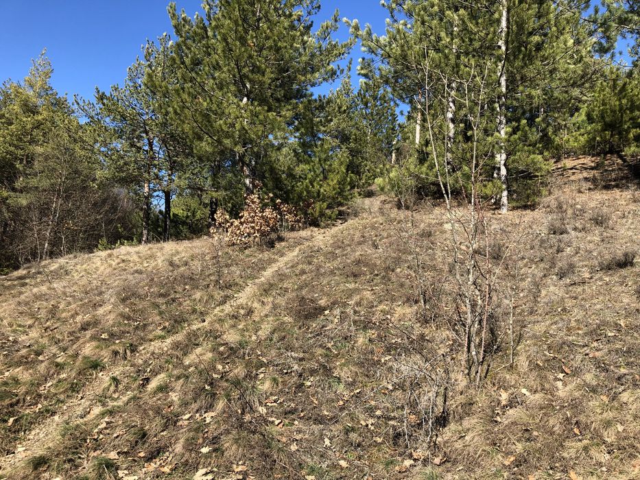 Продава се Парцел в с. Луково, Област София-област - 840 кв.м за 28 €/кв.м - Снимка #10