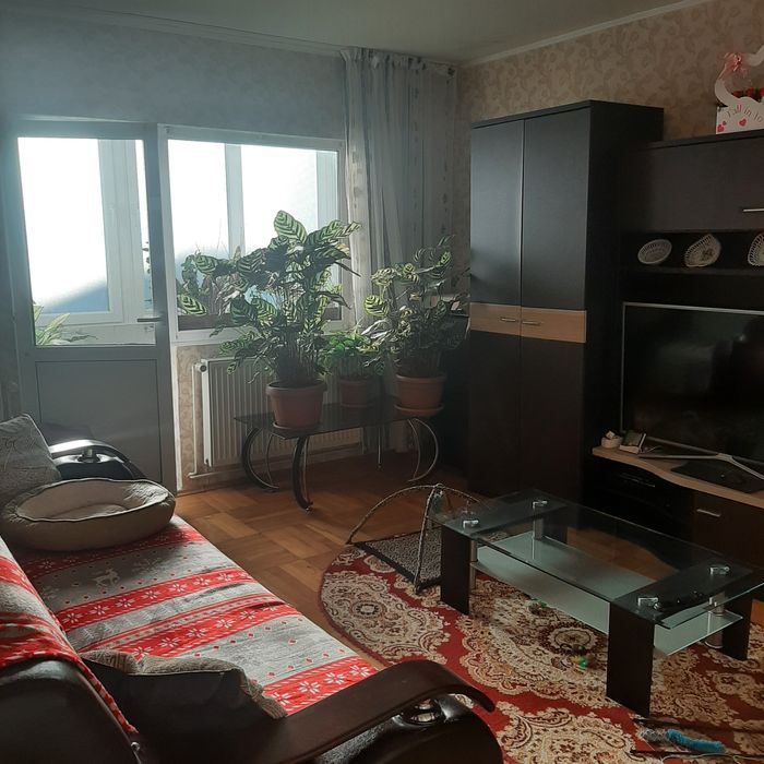 Apartament 3 camere