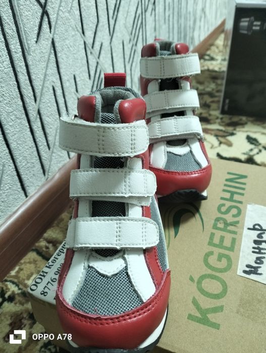 ортопет  новы 23