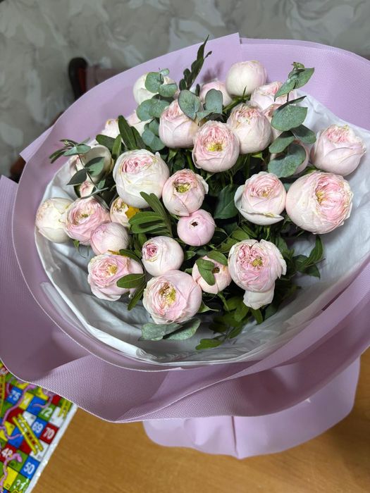 Продам срочно цветы