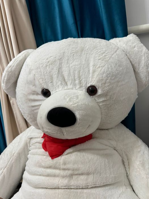 Новый мишка упоковкада