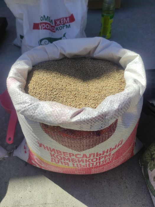 Комбикорма Старт