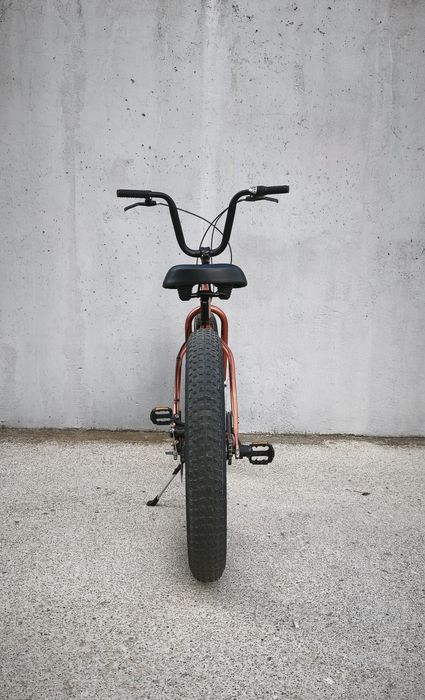Bicicleta Pegas Cutezator