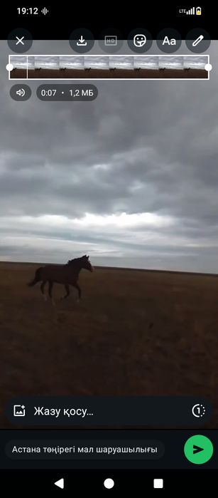 Бес қасқа Жорға айғыр сатылады үйірден ұсталды