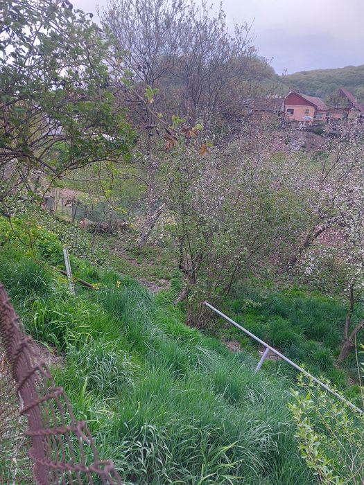 Vând casă 57.000 €