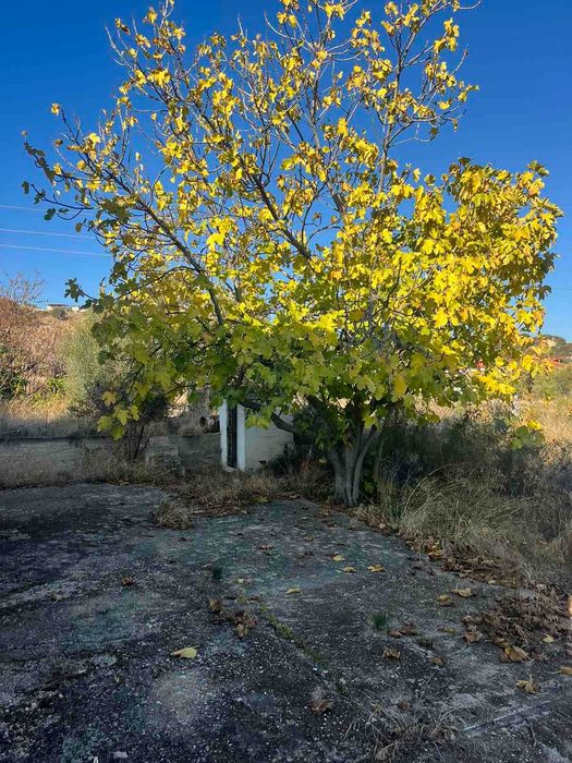 Продава се Къща в Перник, Изток - 110 кв.м за 2091 €/кв.м - Снимка #3