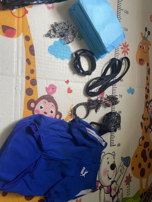 Товары для собак