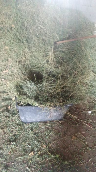 Продам 8 месяц ..