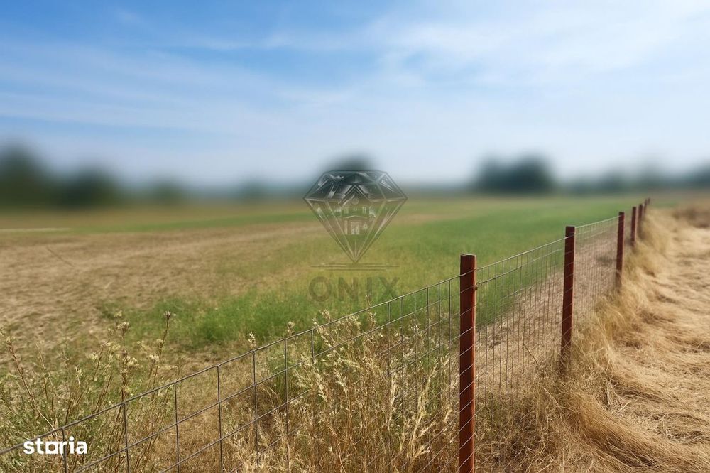 Teren intravilan de vanzare Lipanesti, parcelabil in loturi de 1000 mp