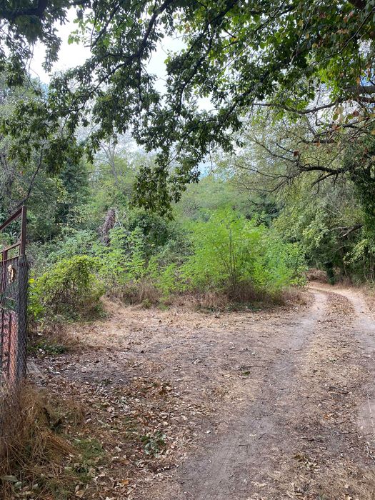 Продава се Парцел в Варна, м-т Боровец - юг - 369 кв.м за 33 €/кв.м - Снимка #3