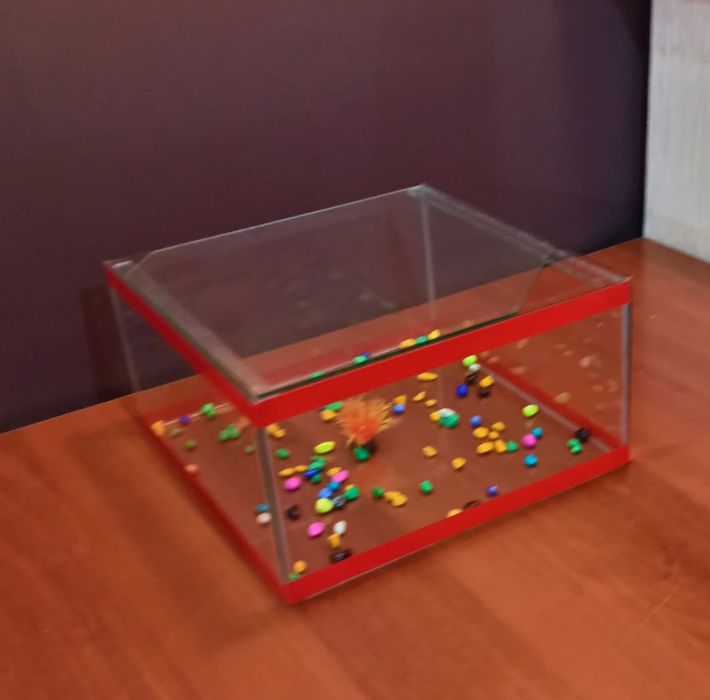 Аквариум для рыб