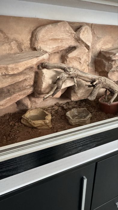 Терариум 480литра + шкаф