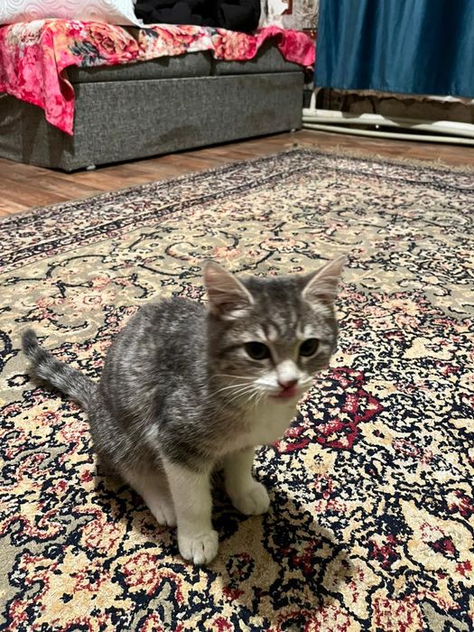 Каму  надо забирайте