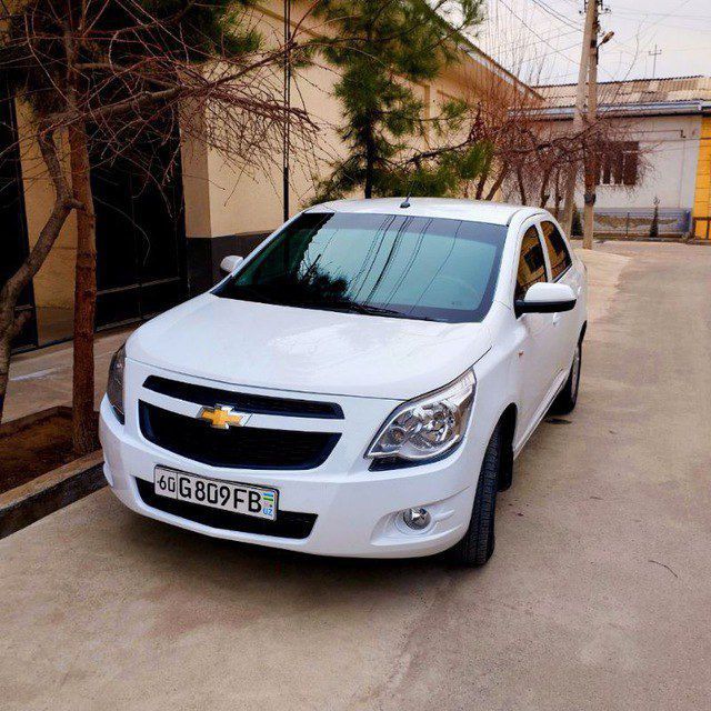 Cobalt 2019 oq 40% kraska