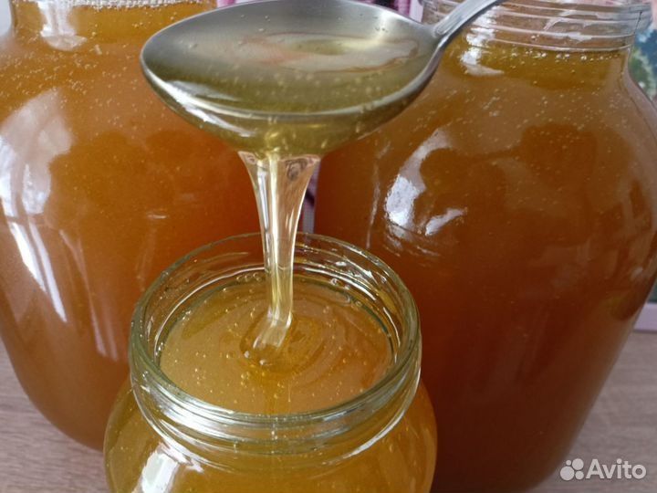 Продам высокогорный мед.