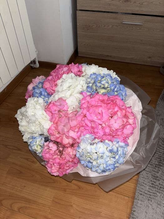 Красивые,Свежие цветы.