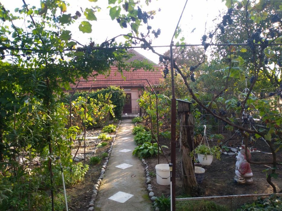 Casa de vanzare doua corpuri