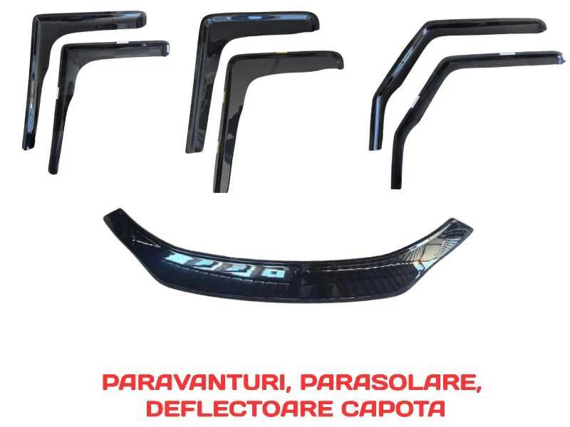 Paravanturi geam daily