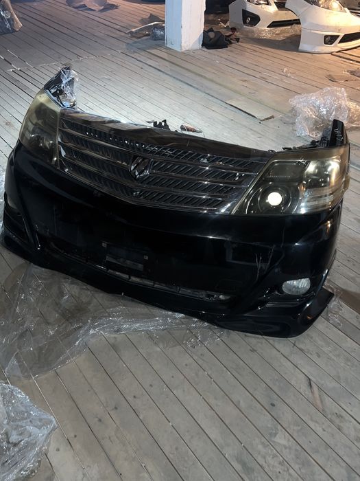 Ноускат альфард