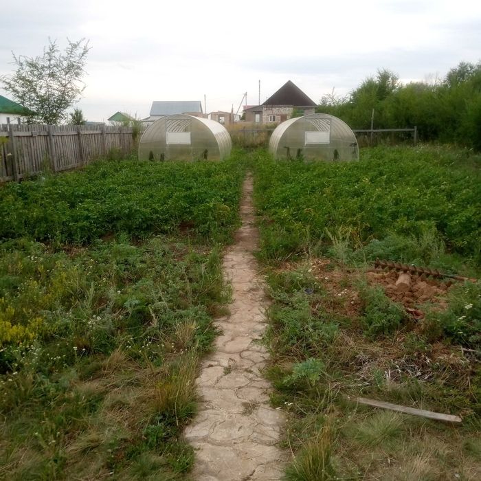 Продам дачу в Коянды