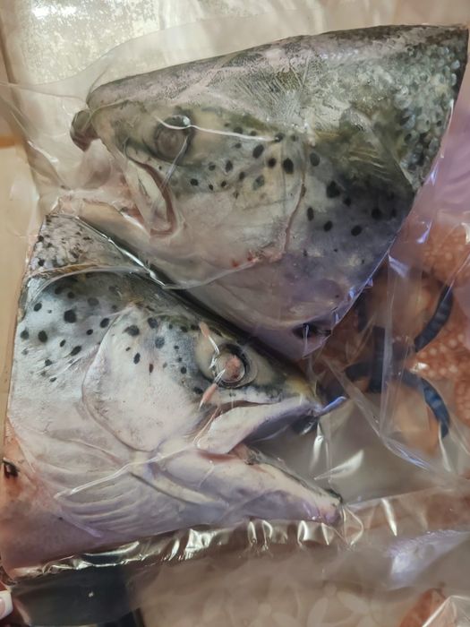 Продам Копчёная форель