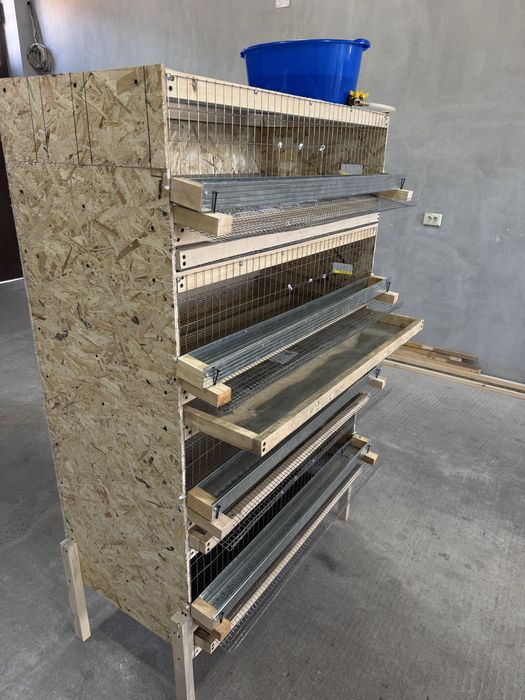 Bedana qafas hamda buruderlar bor