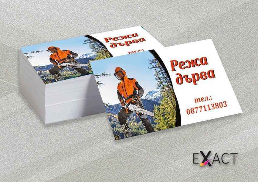 ВИЗИТКИ 100 бр – 12 €