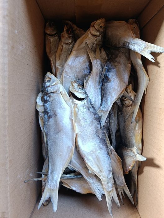 Сушенная рыба , вяленная