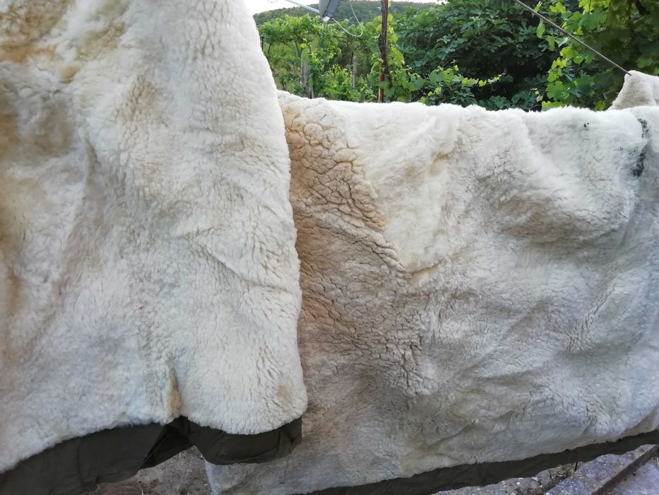 агнешки кожи  - подплати