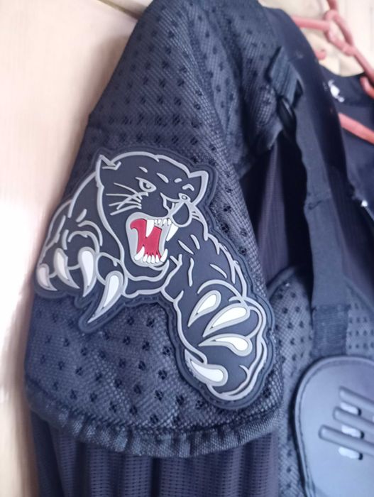 Ризница за мотор