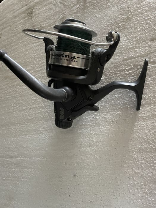 Mulineta in stare perfecta