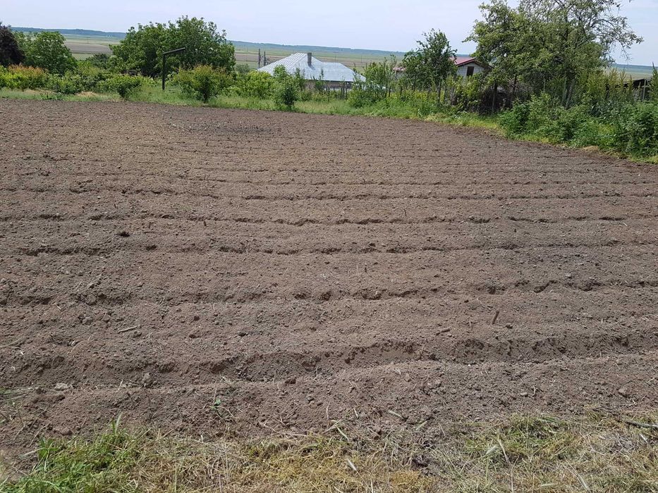 tuns iarba frezat pamantul