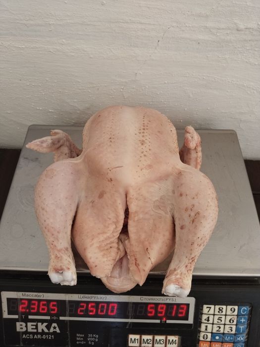 Продам домашних,свежих бролеров