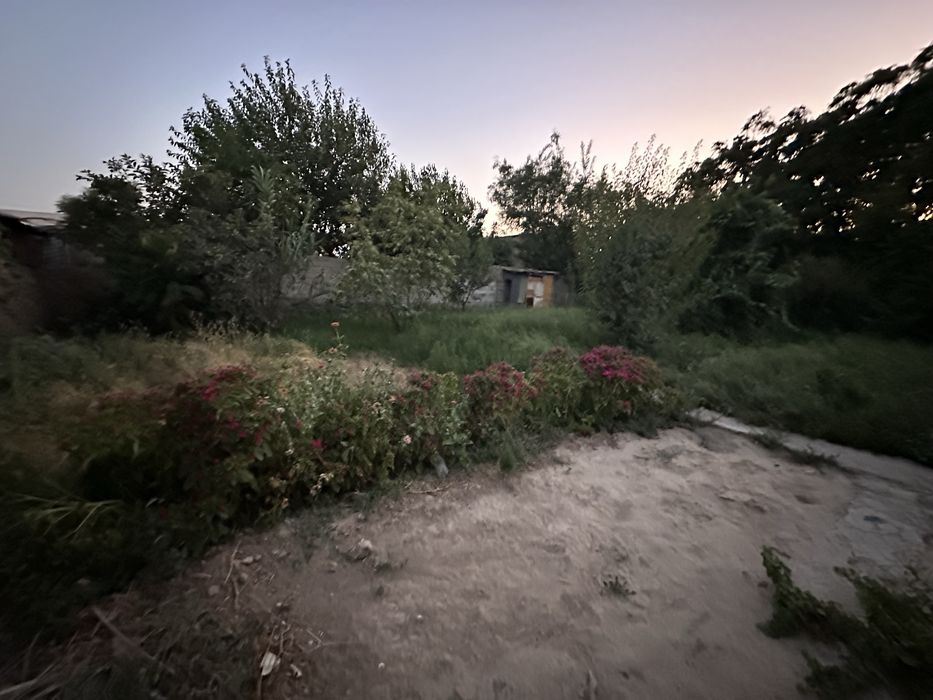 Dacha sotiladi arzon narxda