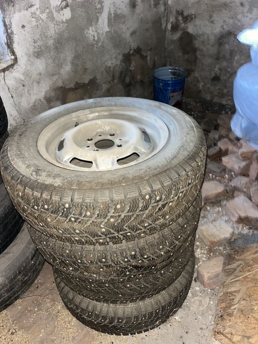 Шины Зимный с диской  175/70 R13