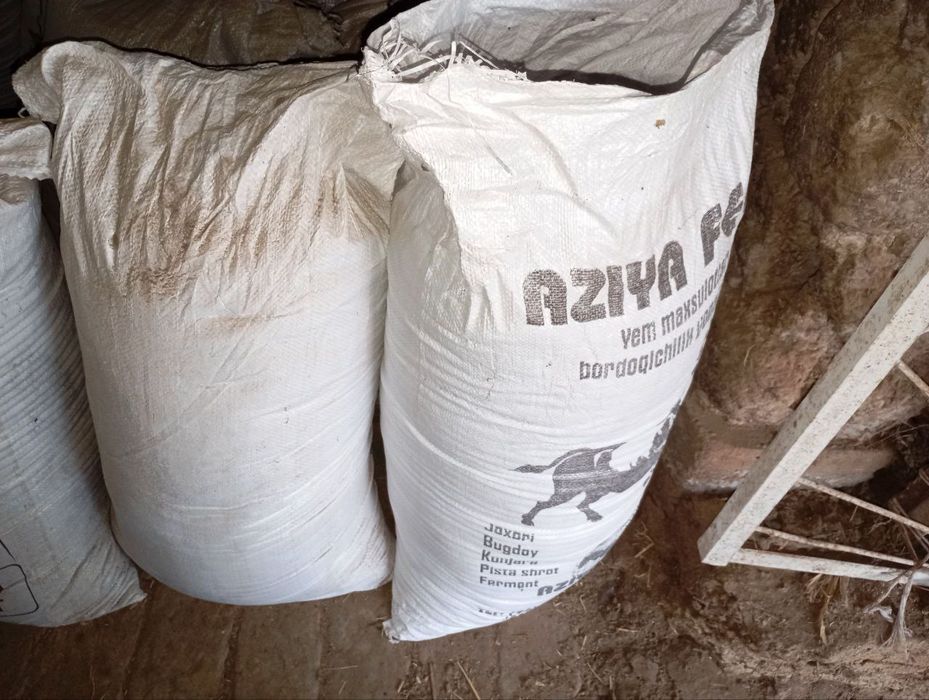 Biogomus tayyor elangan