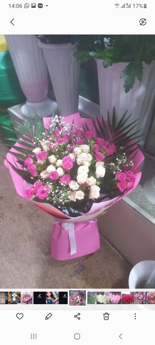 Гүлдер,тюльпаны розы хризантемы лилии герберы гипсофила орхидея