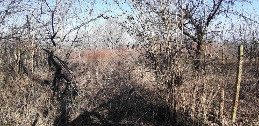 Продава се Парцел в Търговище, Вилна зона - 1050 кв.м за 11 €/кв.м - Снимка #1