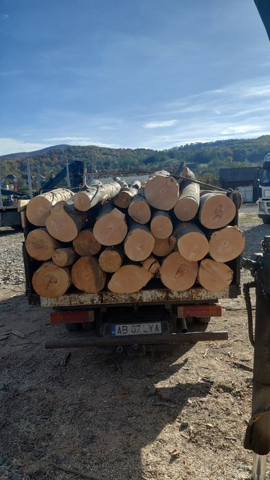 Vand lemn de foc fag detali in privat  taiate si crapate pe  dimesiuni