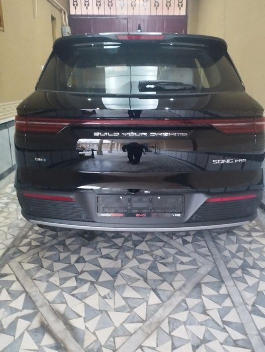 BYDsongPRO 0.0km bez probeg.перечесленияга накд