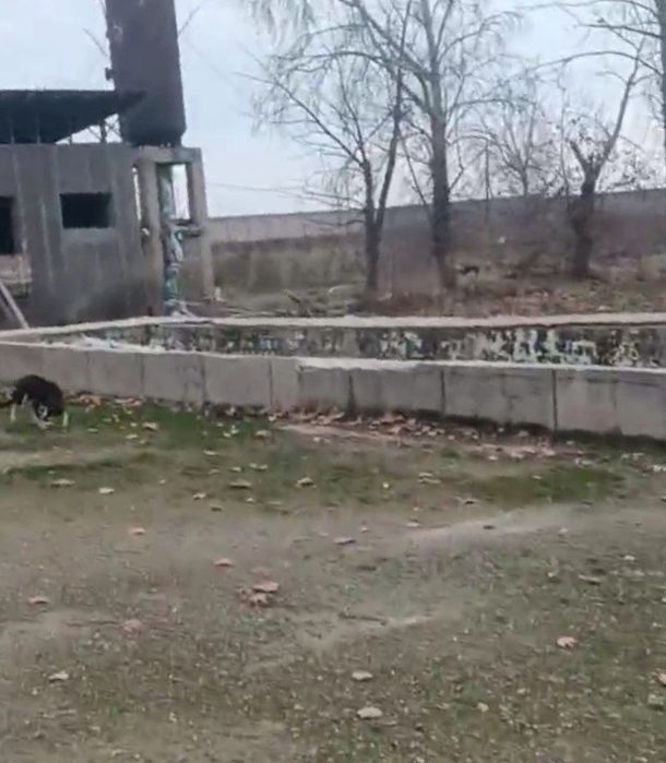 Продаётся производственная база