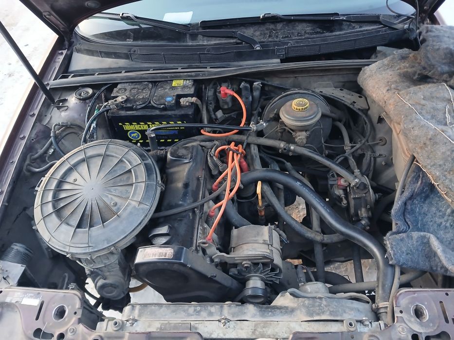 Продам немецкого коня