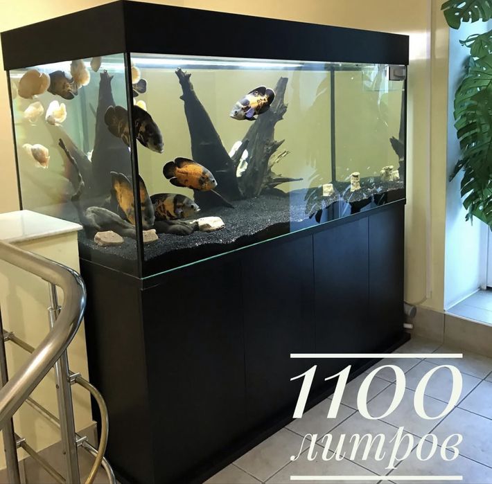 Элитные Аквариумы под заказ