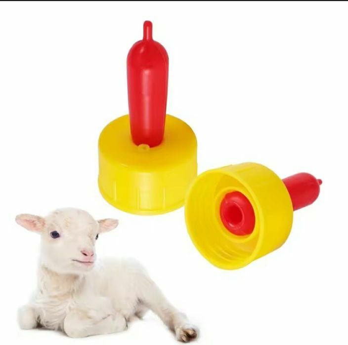 Suzete miei și iezi. 50 buc 80 lei