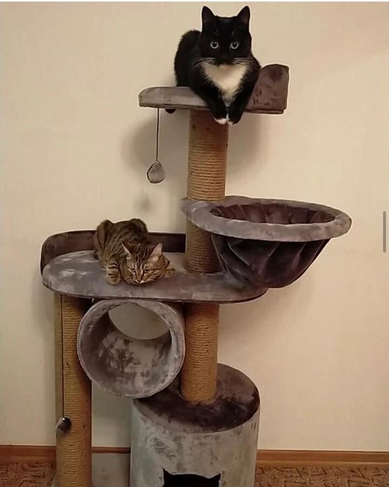 Домики для кошек на заказ