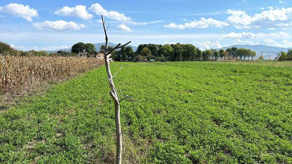 Teren Stupinii Prejmerului, intravilan,3600mp,