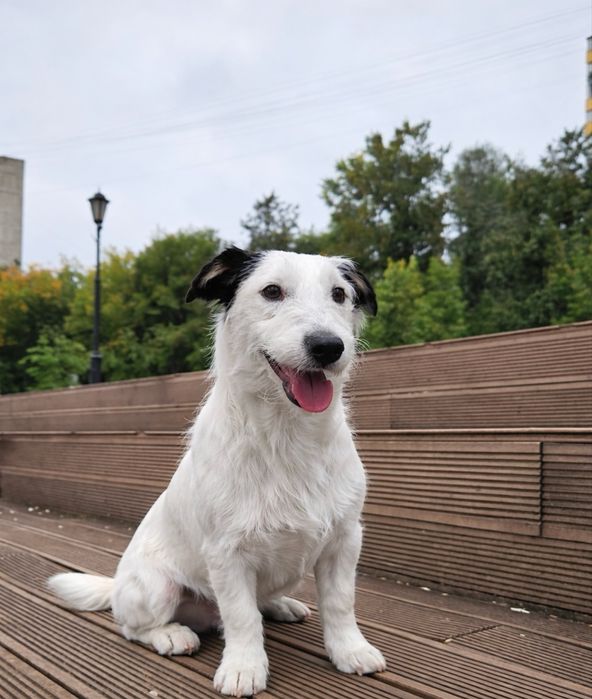 Очаровательная девочка ищет свою семью